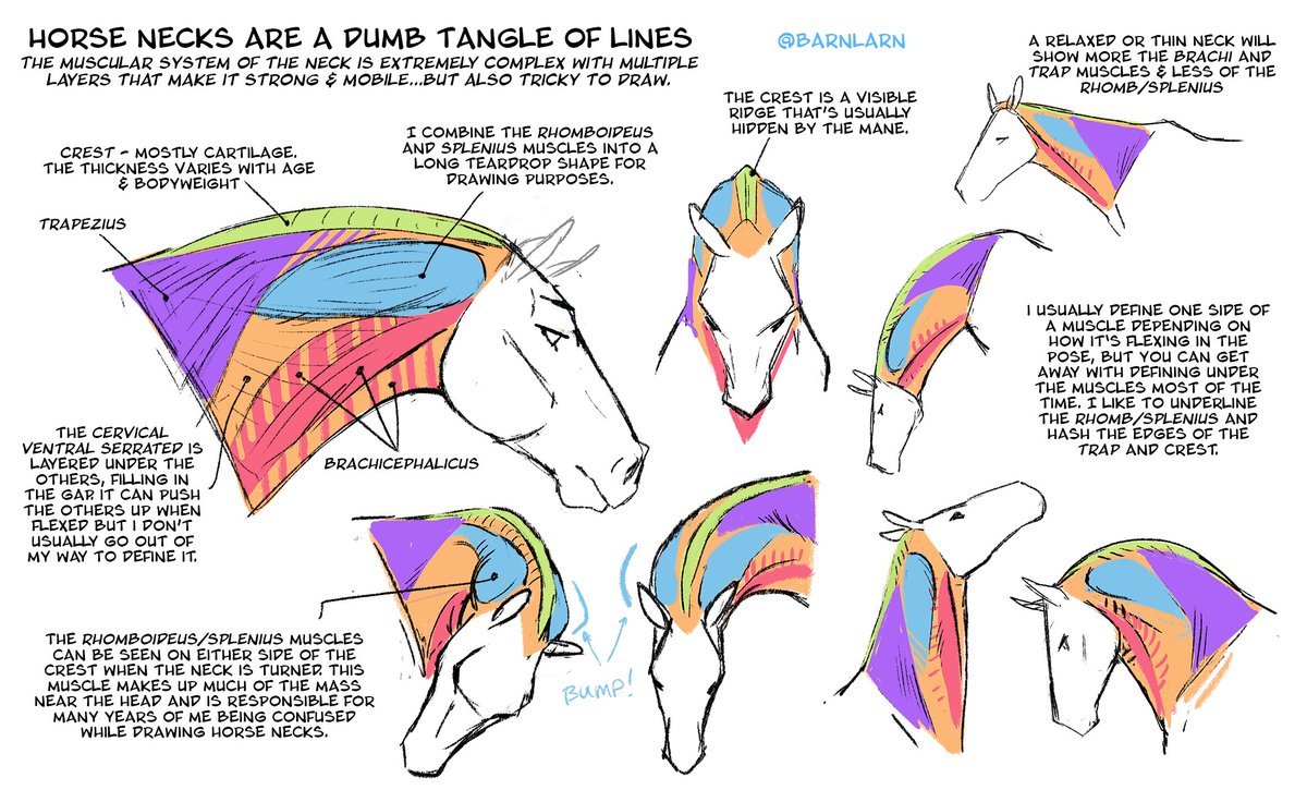 OhLarnSheDrawin' tweet media