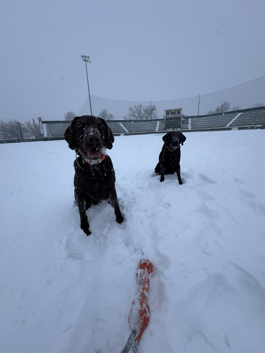 Matt Schissel (@mattshiz13) on Twitter photo 