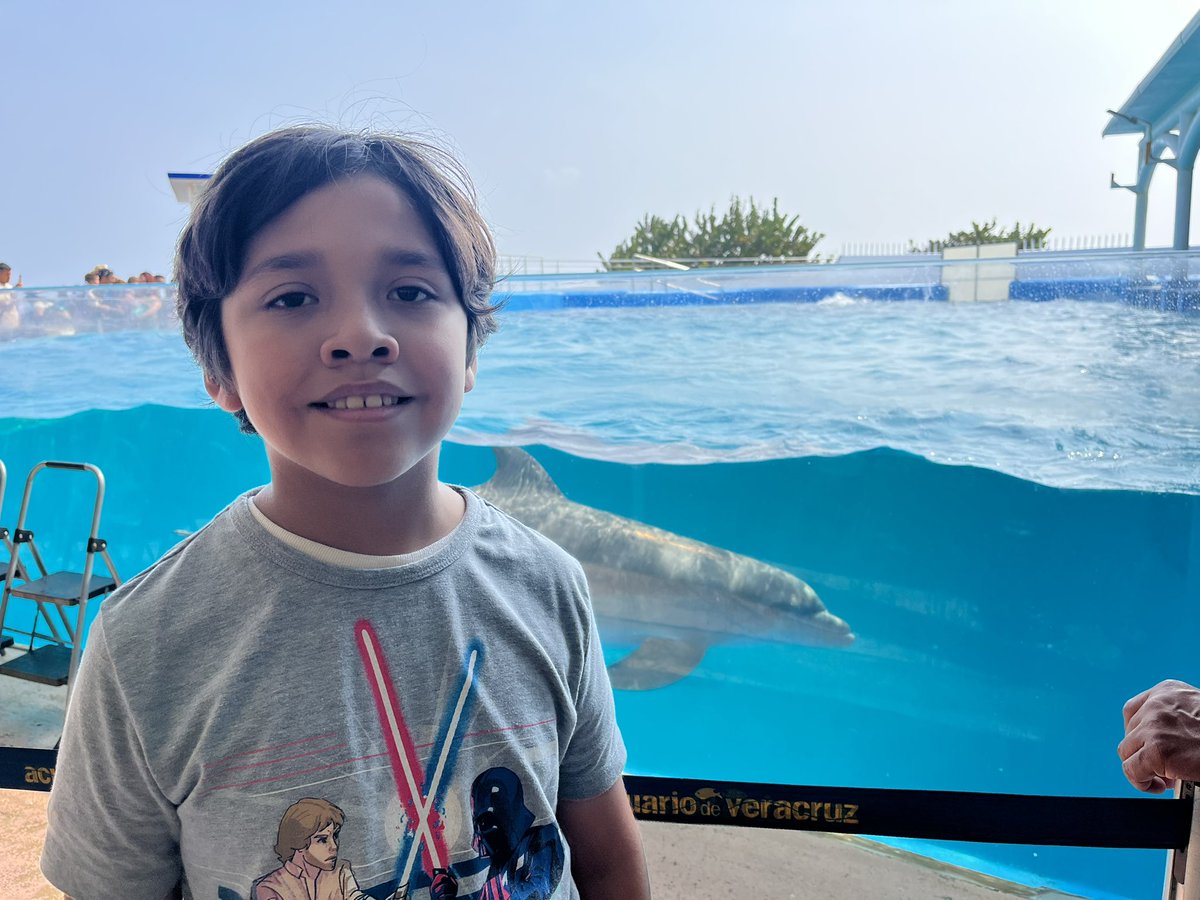 Apoyando a los Delfines desde Veracruz #foximpactonfl