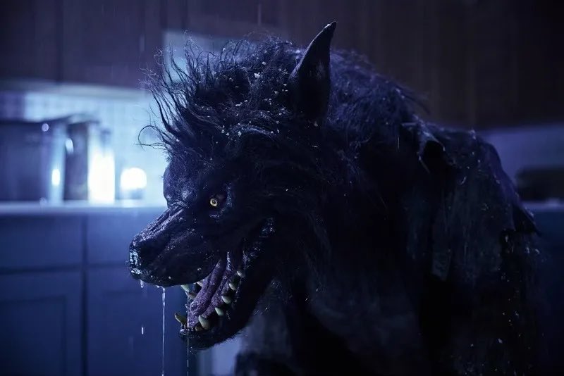While I didn’t think Werewolves was particularly amazing, seeing actual practical effects creatures again in a movie was like a BREATH OF FRESH FUCKING AIR!!! Oh my god it was refreshing to watch a monster movie that wasn’t one big cgi cartoon!