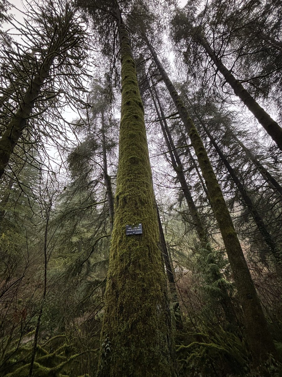 SomeCallMeCap's tweet image. First official PDX hike