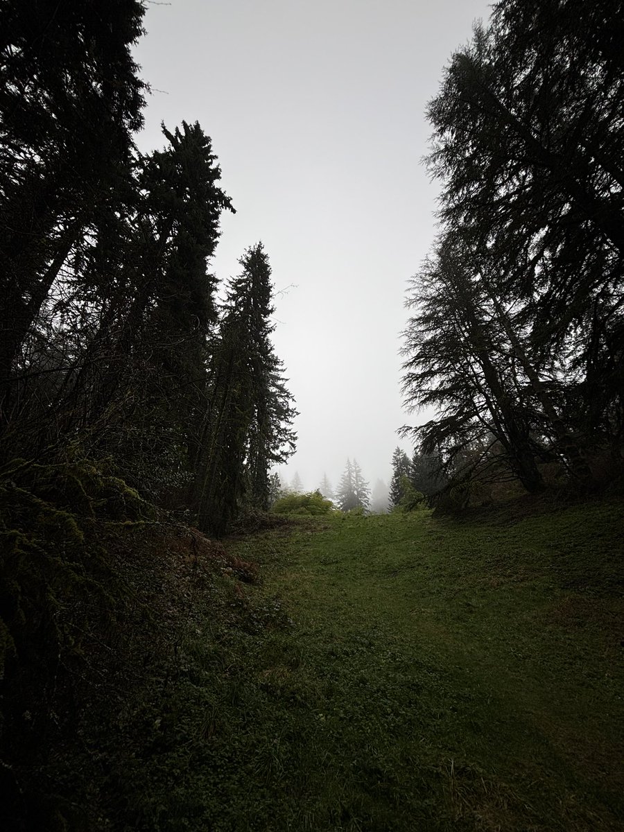 SomeCallMeCap's tweet image. First official PDX hike