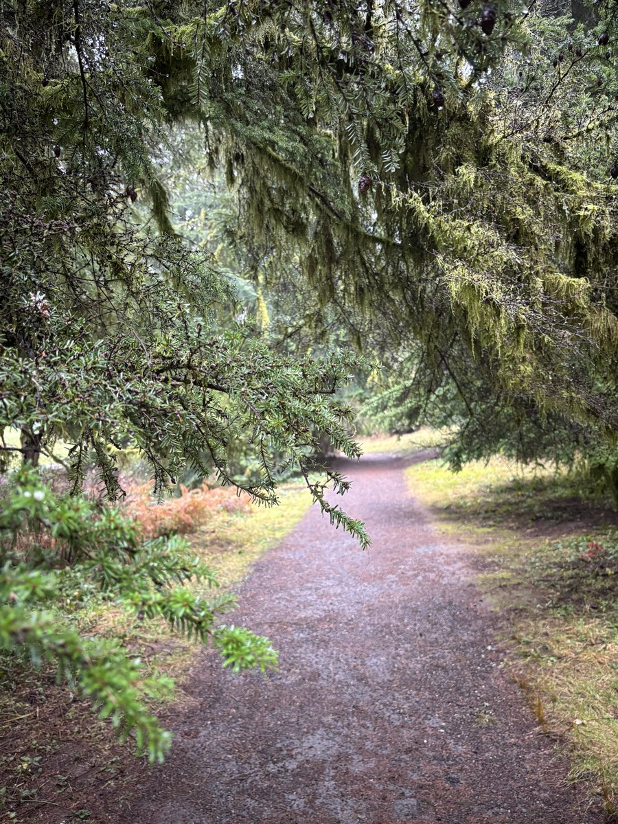 SomeCallMeCap's tweet image. First official PDX hike