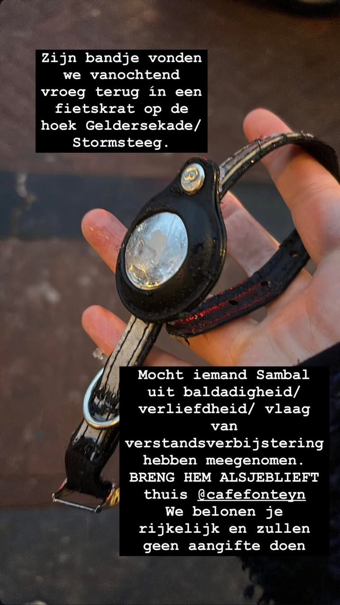 HELP lieve Amsterdammers! De zeer geliefde kat van Cafe Fonteyn op de #Nieuwmarkt is sinds vannacht vermist. Zijn halsbandje met airtag is losgemaakt en in een fietsmandje in de buurt gevonden. Vermoedelijk heeft iemand hem meegenomen 😞 Heeft iemand Sambal gezien of tips waar