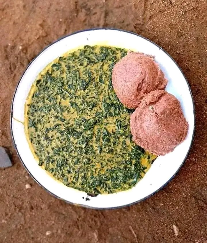 EchosTaibotak's tweet photo. đšđČ đš #Septentrion: DĂ©couverte
Voici l'arbreArbre généalogique de Tasba
1) Graines de Tasba
2) Feuilles (légumes) de Tasba
3) sauce de Tasba (complément, couscous mil rouge)
#Gastronomie #delicieux
#HEBDOS https://t.co/1sXuX6Hss0