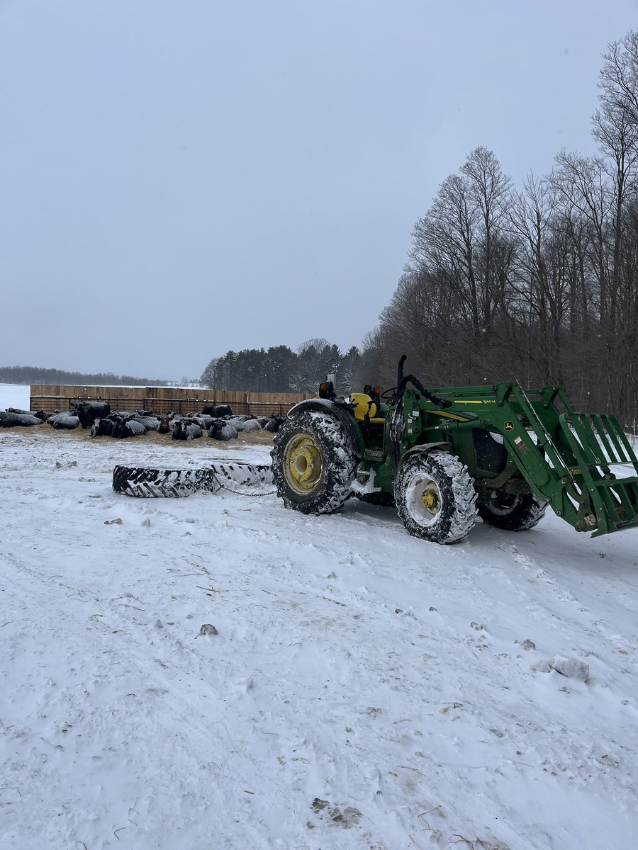 Dallas_Coultes tweet media