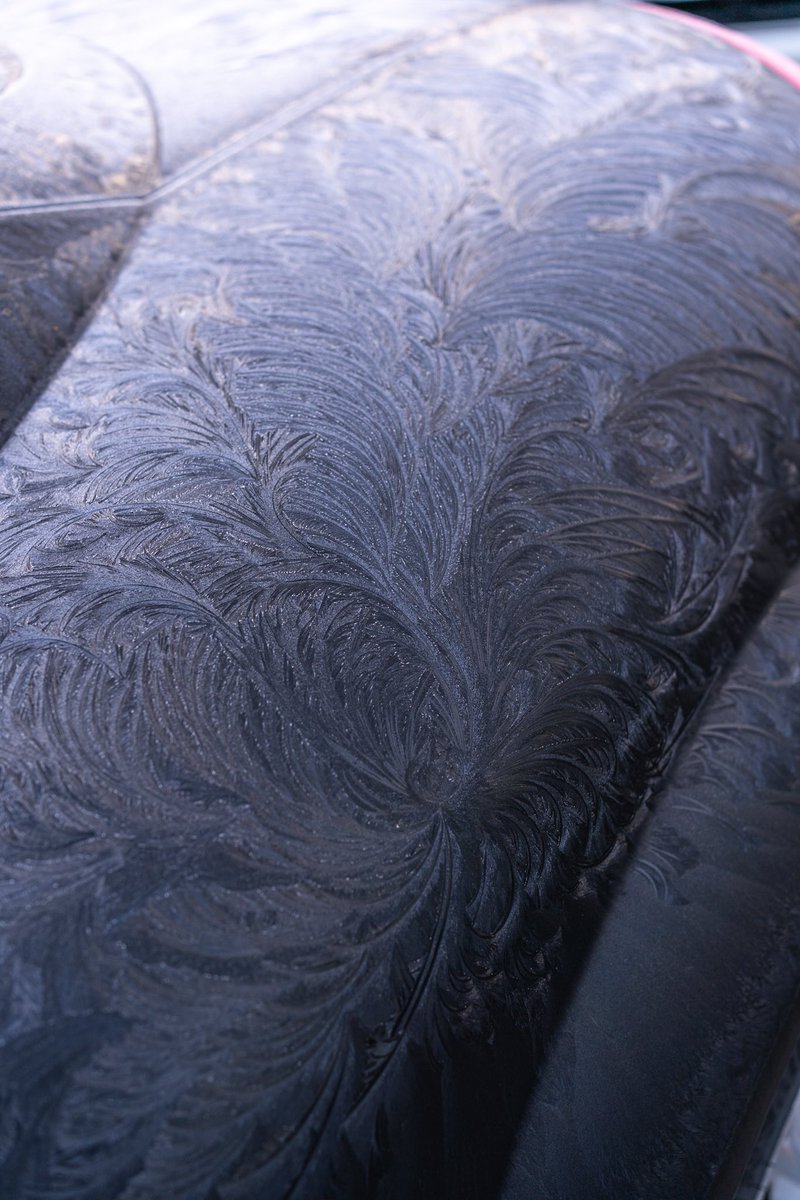 なにこれなにこれ、雪なの？