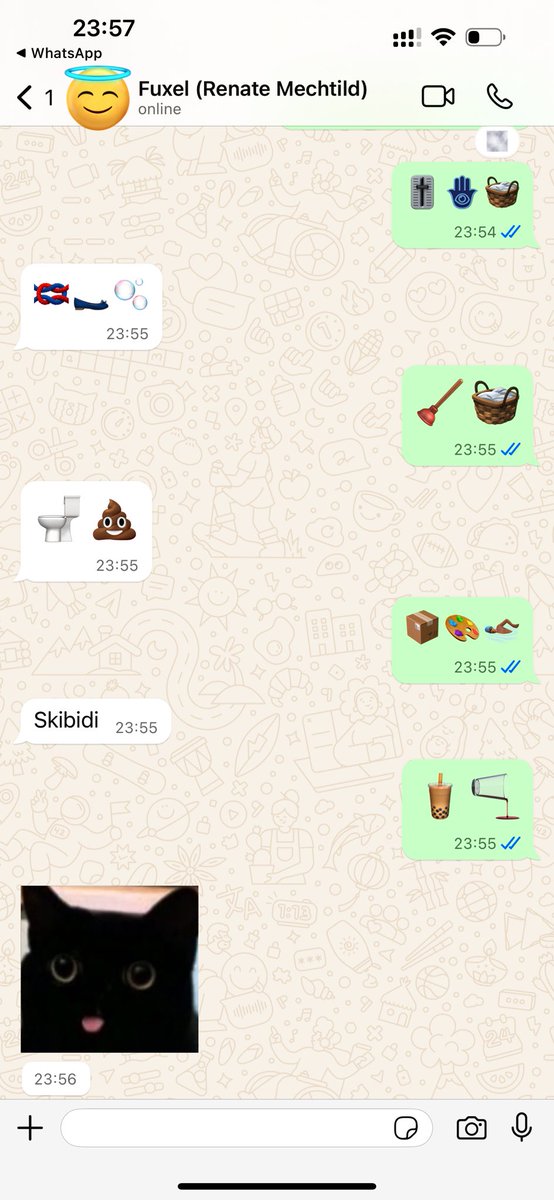 Typischer Chatverlauf mit <a href="/Fuxelbau/">Fuxel</a>