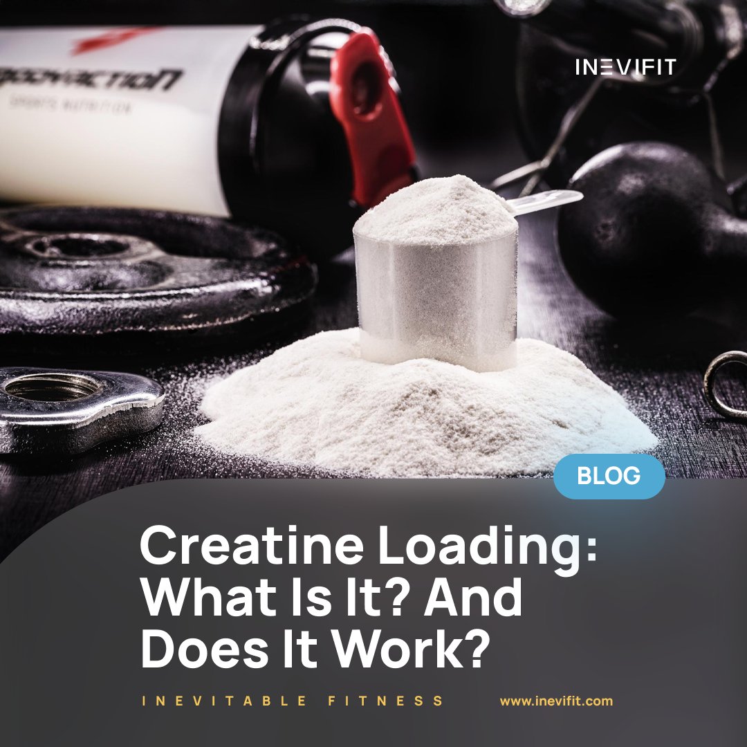 INEVIFIT's tweet image. Curious about creatine loading and its effectiveness? 💪

Discover the science behind this popular supplement strategy and how it can enhance your fitness journey.

#Inevifit #CreatineLoading #FitnessTips #SupplementScience #MuscleGain #WorkoutSupplements
