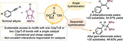 Please check out our latest publication on 
Sustainable Access to E-Alkenylboronate and Alkyl Gem-Diboronate Esters through Triethoxysilane Catalyzed Hydroboration of Terminal Alkynes. <a href="/ACSCatalysis/">ACS Catalysis</a> 
Thank you <a href="/RebecaA61689283/">Rebeca Arevalo</a> and <a href="/Himani70754689/">Himani Ahuja</a>

doi.org/10.1021/acscat…