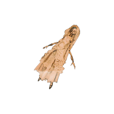 𓇚ᅠᴼ͟ᴿ͟ᴰ͟ᴱ͟ᴹᅠ╱ᅠ𝕻ARAN◌⃝RMAL. tweet media