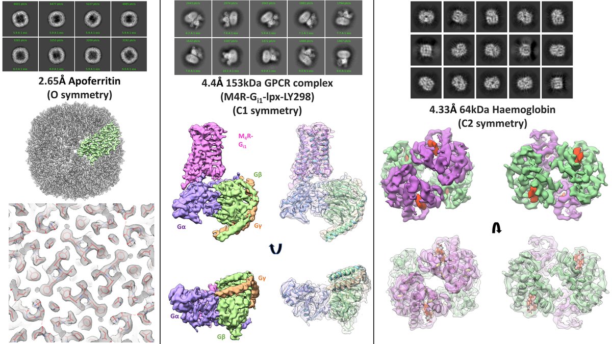 Hari Venugopal (@harivenugopal2) on Twitter photo Thrilled to see our work on high-resolution #cryoem using a common LaB6Ā 120-keV TEM and subā200-keV direct electron detector, now onlineĀ <a href="/ScienceAdvances/">Science Advances</a>.Ā science.org/doi/10.1126/scā¦
. A collaboration with <a href="/GatanMicroscopy/">Gatan Microscopy</a>, @GeorgRamm, and <a href="/CryoEM_Monash/">Ramaciotti Centre for Cryo EM</a>. Thrilled to see our work on high-resolution #cryoem using a common LaB6Ā 120-keV TEM and subā200-keV direct electron detector, now onlineĀ <a href="/ScienceAdvances/">Science Advances</a>.Ā science.org/doi/10.1126/scā¦
. A collaboration with <a href="/GatanMicroscopy/">Gatan Microscopy</a>, @GeorgRamm, and <a href="/CryoEM_Monash/">Ramaciotti Centre for Cryo EM</a>.