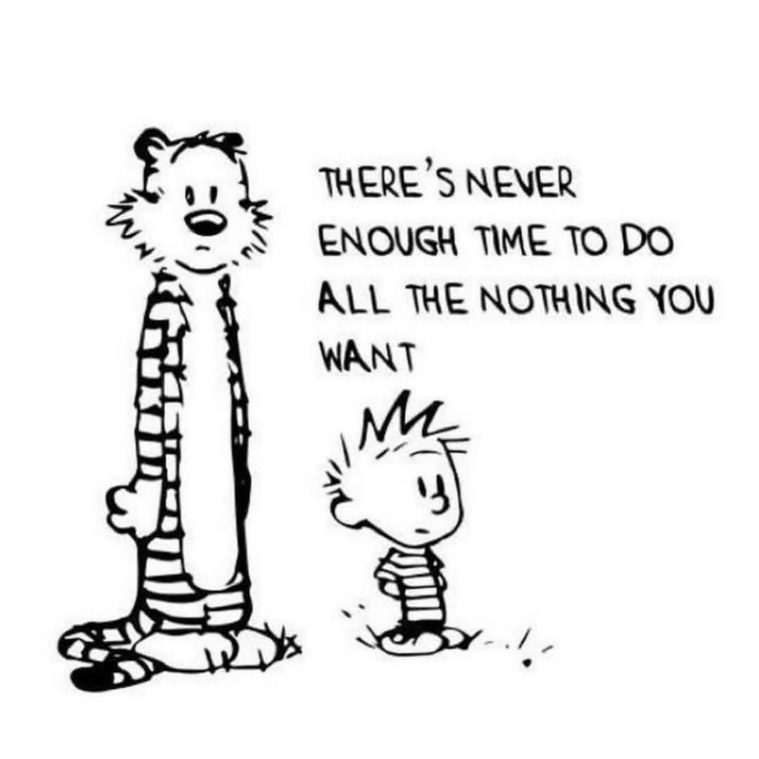 Shundra Jones (@shujonesjones) on Twitter photo 