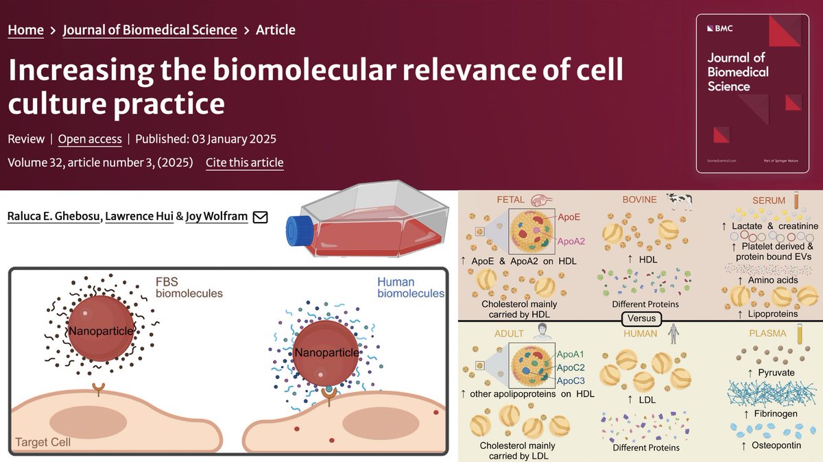 Joy Wolfram, PhD (@wolframjoy) on Twitter photo Are cow molecules the best option for lab-grown cells? #FBS #Nanomedicine #ExtracellularVesicles. Check out our latest article link.springer.com/article/10.118… <a href="/AIBNatUQ/">AIBN Research</a> <a href="/UQ_EAIT/">UQ Engineering and Technology</a> Are cow molecules the best option for lab-grown cells? #FBS #Nanomedicine #ExtracellularVesicles. Check out our latest article link.springer.com/article/10.118… <a href="/AIBNatUQ/">AIBN Research</a> <a href="/UQ_EAIT/">UQ Engineering and Technology</a>