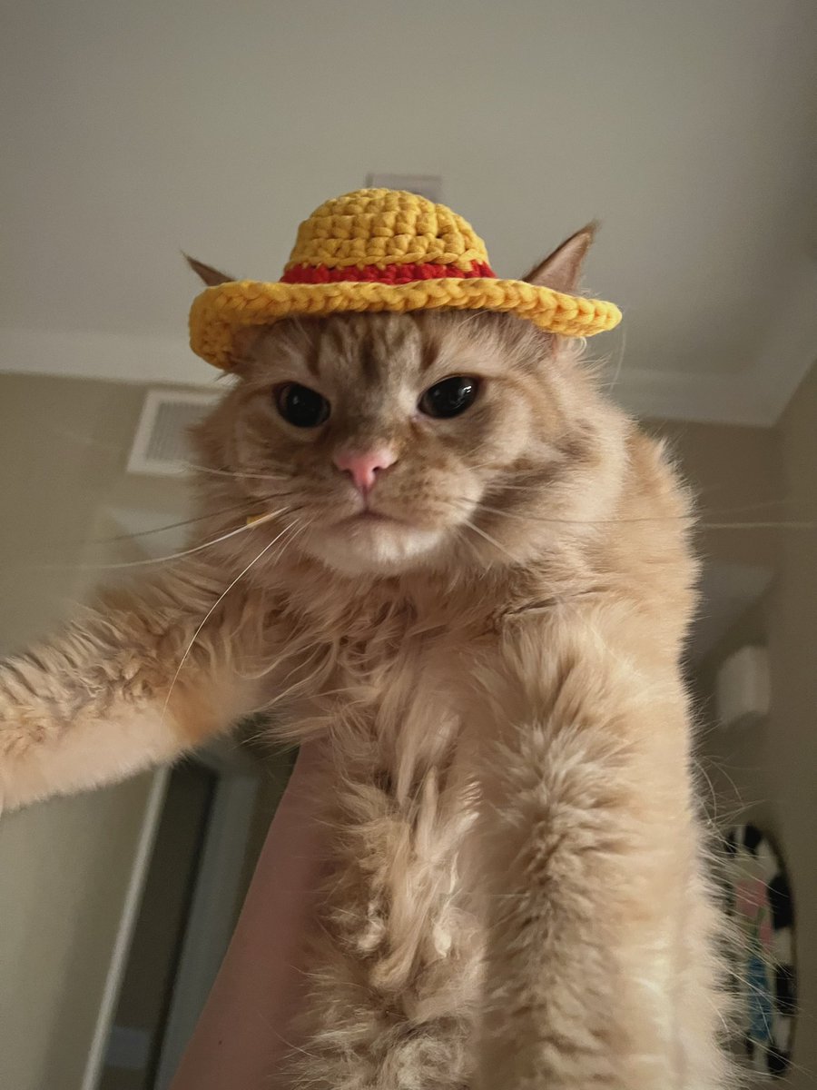 I crocheted Mac a little straw hat and he wasn’t happy about it