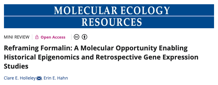 Bringing formalin-preserved specimens back to life! 🧬🦎 Once thought to be DNA’s final resting place, these jars hold the secrets to past gene expression and adaptation. 

Who said formalin was just a preservative? 🤔 

tinyurl.com/2p4btv4k

#Museomics #Epigenetics