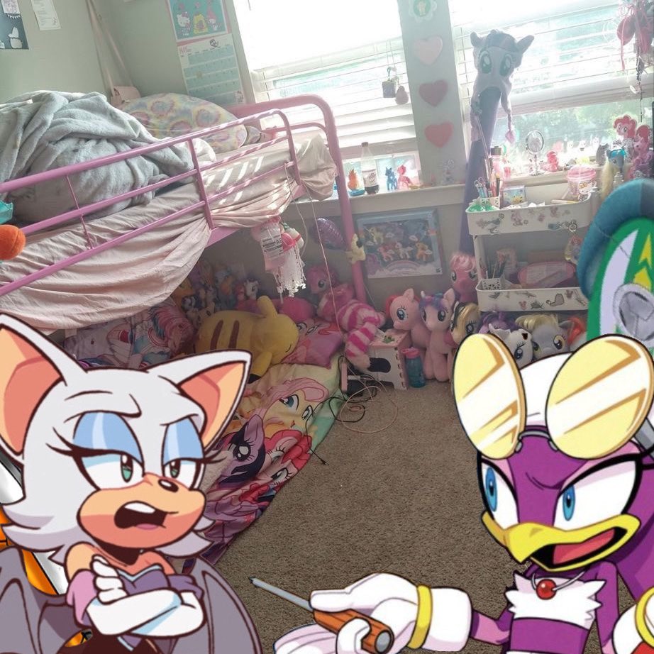 wavecheck2006's tweet image. My room is amazing. It's wholly representative of me and my interests, not that a basic bitch like you would understand the concept of "interests." And for your information, a girldinner isn't something I'd tell YOU about.