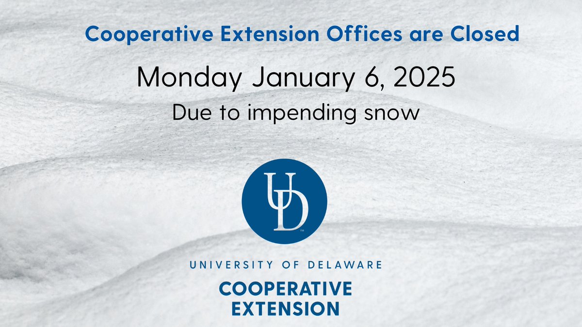 UD Extension tweet media