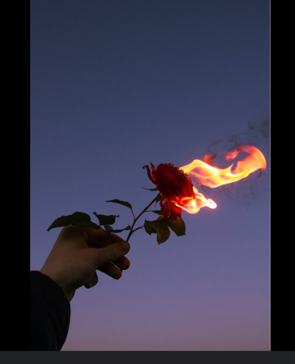 DBWPodcast's tweet image. BURNT ROSES
a song about a desperation to be loved

#songlyrics