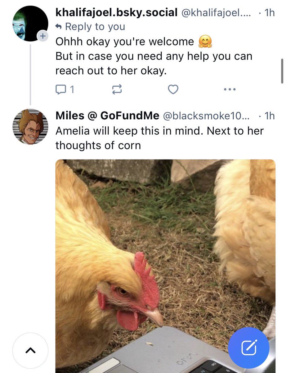 blacksmoke1033's tweet image. I am currently raising funds for surgery and social media assistant Amelia is dealing with all the parasite accounts. She’s very good