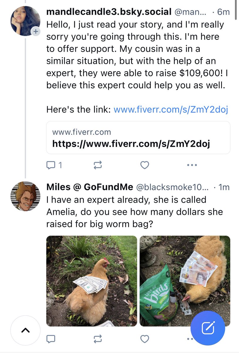 blacksmoke1033's tweet image. I am currently raising funds for surgery and social media assistant Amelia is dealing with all the parasite accounts. She’s very good