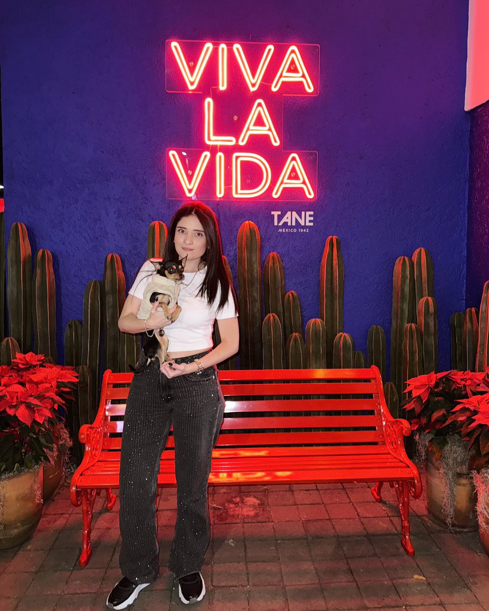 WendyMouret's tweet photo. Feliz cumpleaños Bobbys, rey de las ratas.
Tan perres basiques 🐕🎁🎈🎂🐭 https://t.co/zdJnEX6RCy