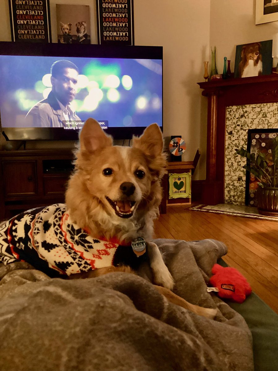 Scott Suttell (@ssuttell) on Twitter photo Oscar is very excited to be watching a Denzel Washington movie we’ve never seen: “Deja Vu,” part of the Surveillance Cinema collection on <a href="/criterionchannl/">Criterion Channel</a>. Oscar is very excited to be watching a Denzel Washington movie we’ve never seen: “Deja Vu,” part of the Surveillance Cinema collection on <a href="/criterionchannl/">Criterion Channel</a>.