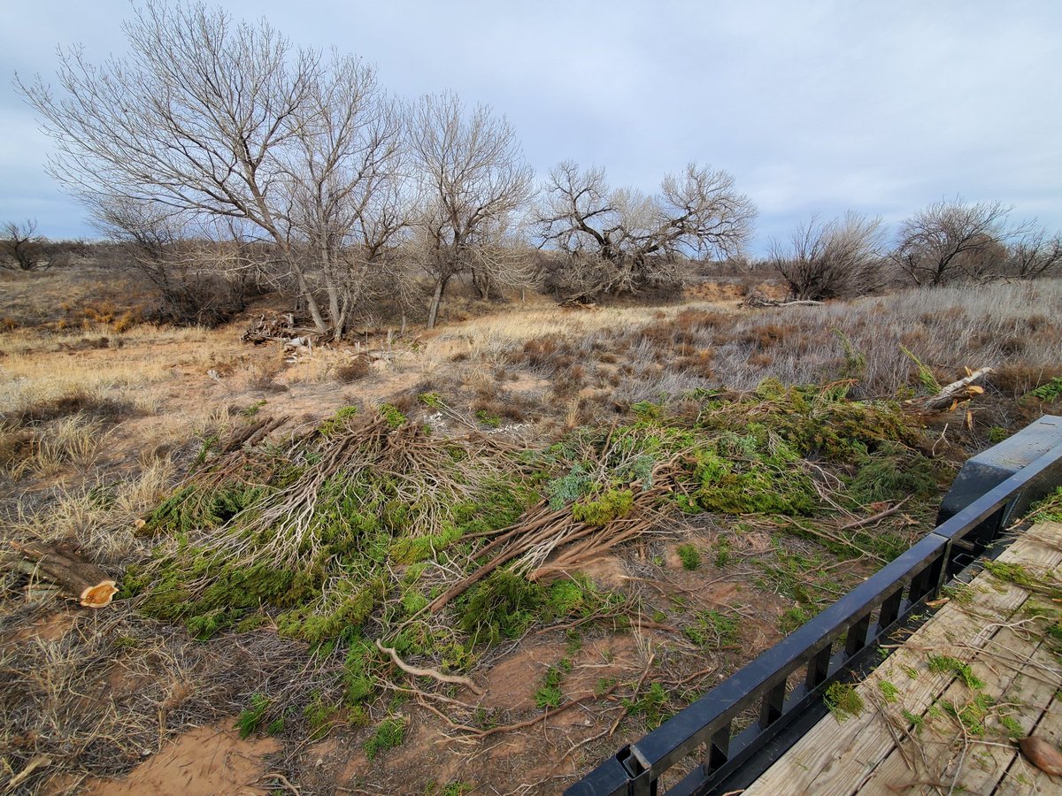 OgallalaLife's tweet photo. More work @WildcatBluffNC in preparation for our February work session 💪

Here @wmflies &amp; Jacob are hauling landscape cuttings - diverting waste to reinforce &amp; supplement installations of natural infrastructure in dryland streams (#NIDS)

To slow, spread, soak &amp; sink stormwater https://t.co/NjnoaurRJp