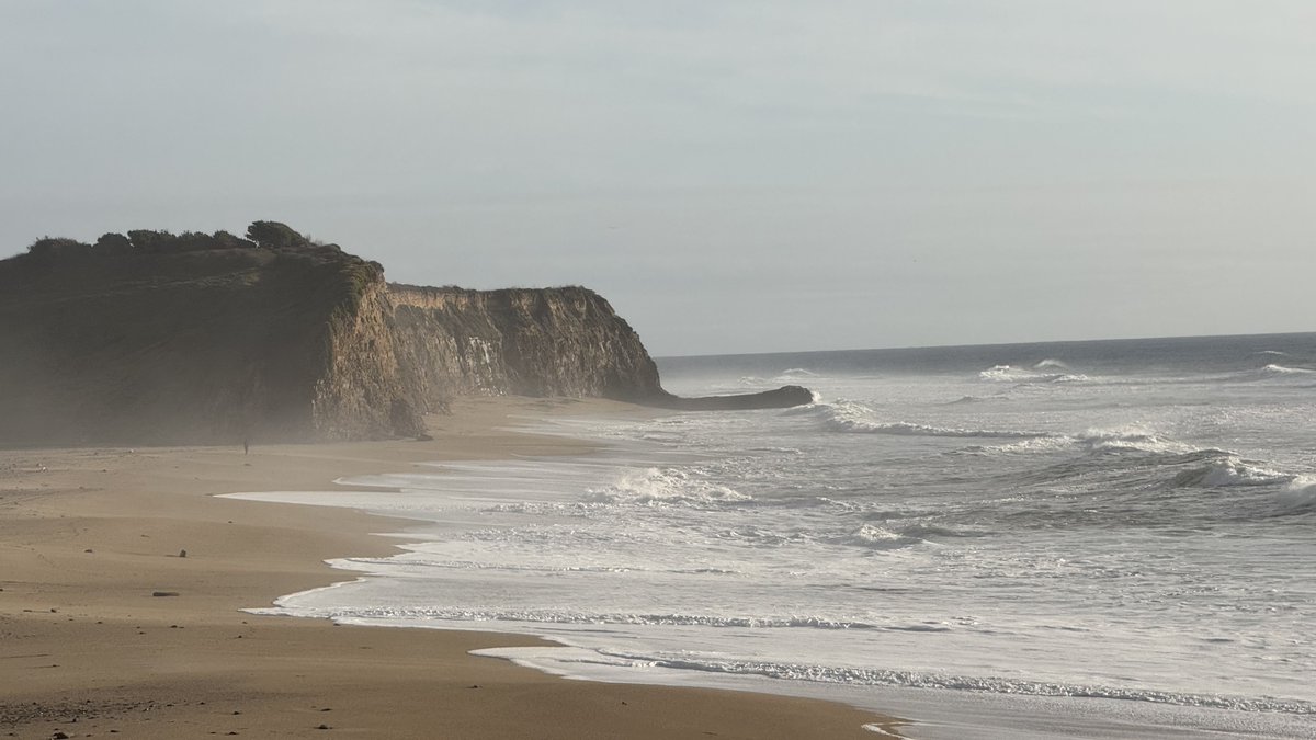 Rob (@yallrob) on Twitter photo 