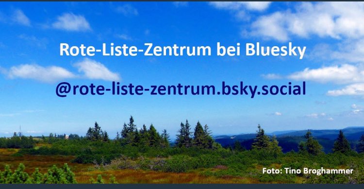 Wir haben uns entschieden, ab 2025 nicht mehr auf X aktiv zu sein. Aktuelles posten wir stattdessen bei Bluesky. 

Um euch den Einstieg zu erleichtern, haben wir dort ein Starterpack „Biodiversität, Naturschutz_Forschung, Förderung“ eingerichtet.

 ➡️ bsky.app/profile/rote-l…