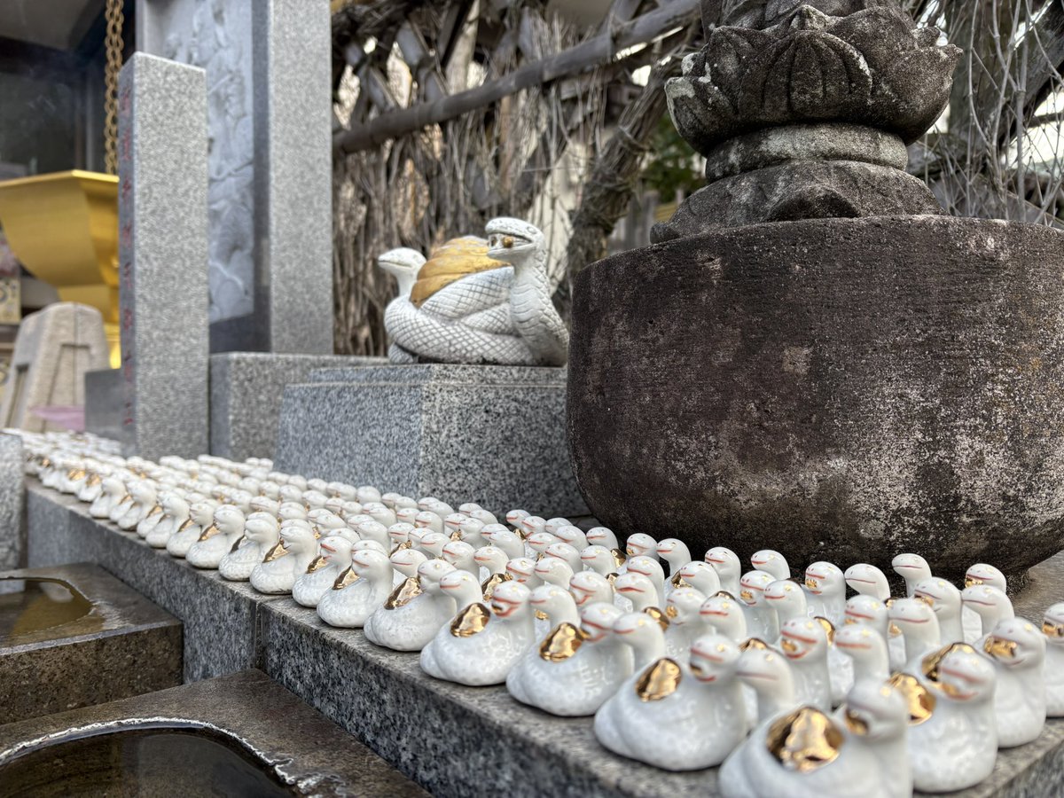 ryohoji's tweet photo. おはようございます。本日も八王子七福神めぐりを開催中です。了法寺では新護弁財天様を10日まで御開帳しています。弁財天様の化身で白蛇の神様の宇賀神様もお祀りしております。皆様のご参拝を心からお待ちしております。 https://t.co/ouXJF8dLZP