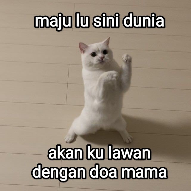 el (@halupulisi) on Twitter photo 