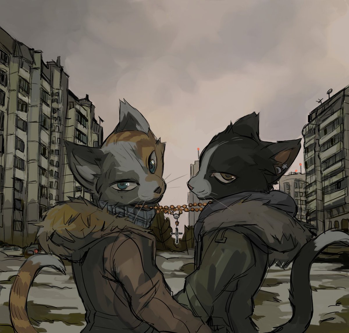 mellowollie's tweet image. 🐱