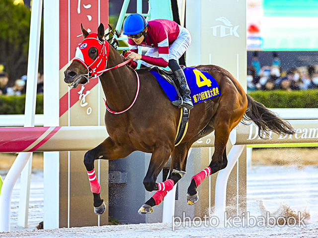 [NEWS] FOREVER YOUNG wins G1/Tokyo Daishoten and extends unbeaten record at his home country  jrha-selectsale.com/updated/index