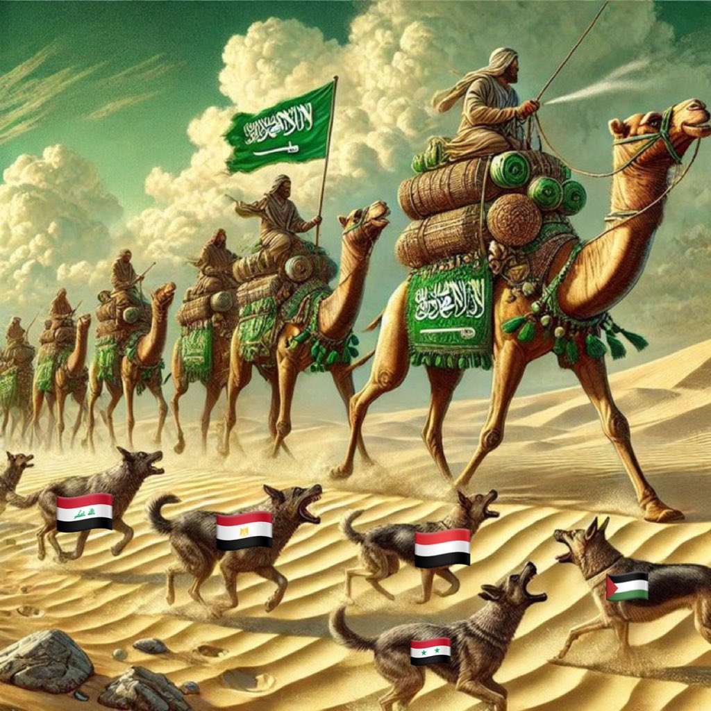 واقع 🤚

 #ينصر_دينك_يابن_سلمان