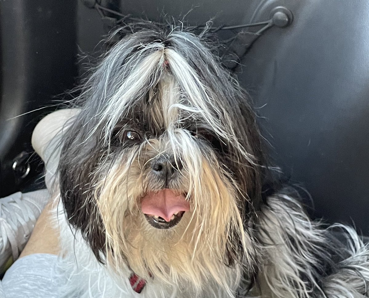 COSAS QUE SENTÍ CUANDO