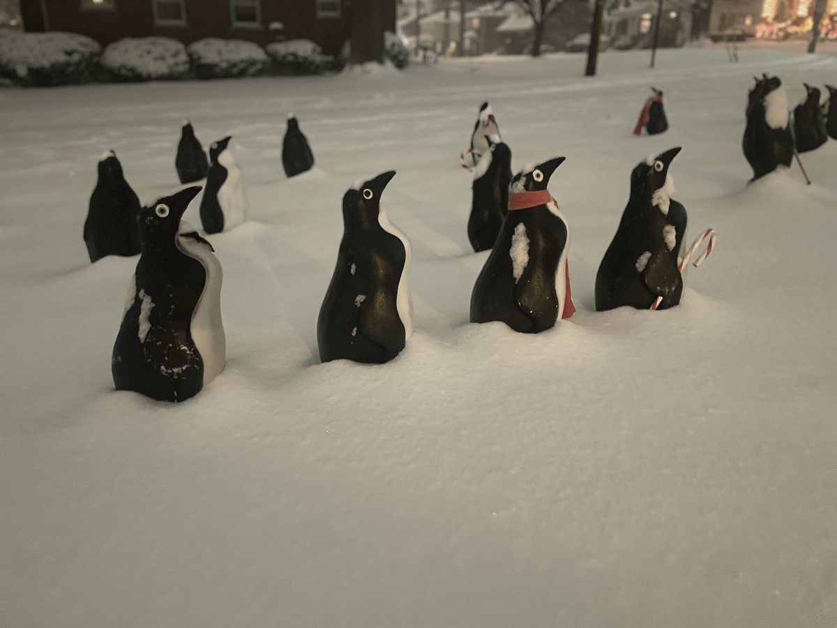 Snow is up past my door step now. Almost 5 inches. We've got about 1/3 of a penguin coverage.