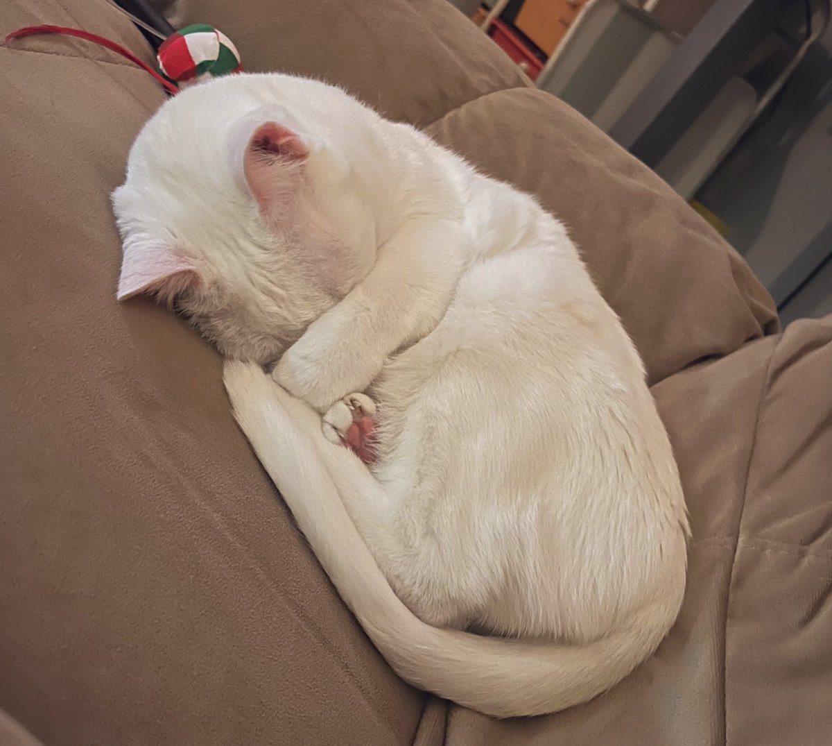 The sweetest baby