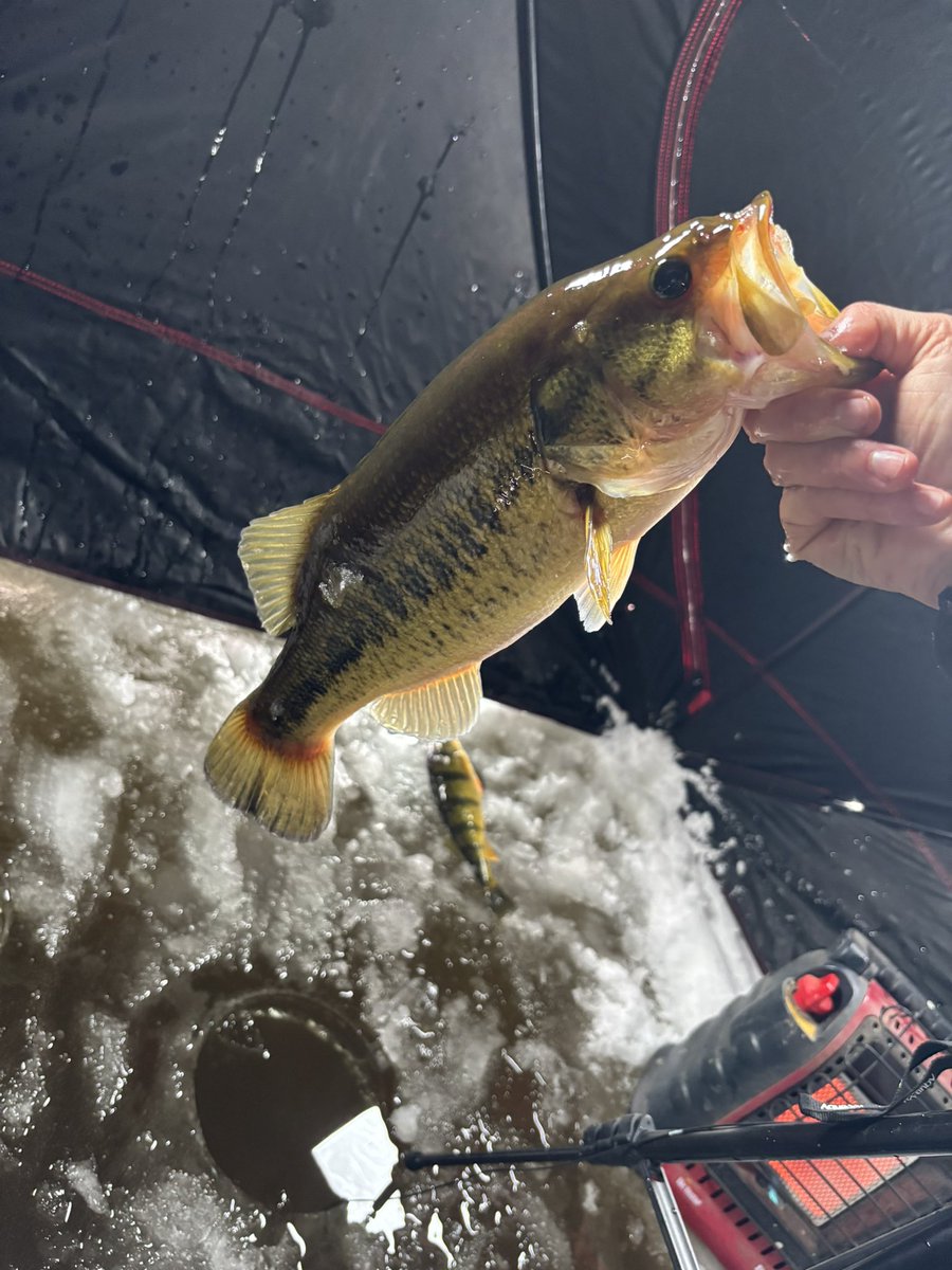 Thin ice makes the fish bite… what a great afternoon on the pond