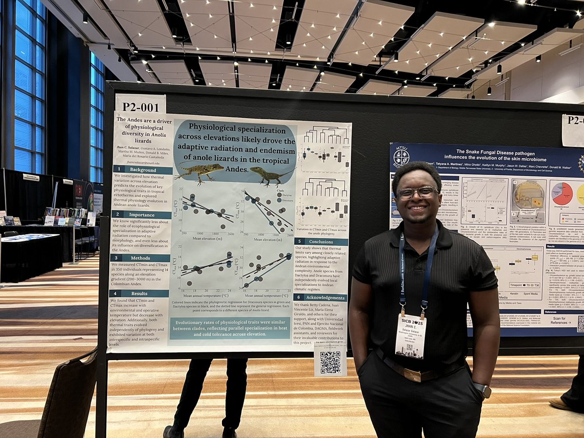 First-time presenting a poster at a conference: done! Thank you to everyone who stopped by and asked such interesting questions. If you missed it, you can find more information here: github.com/salazarjhan95/… #SICB2025
