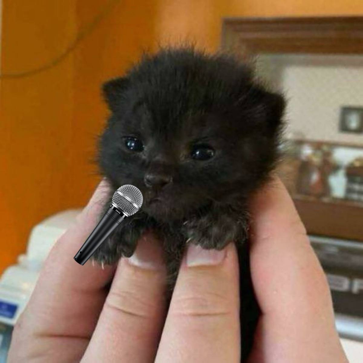 smilemf_'s tweet image. Get $itty the singer