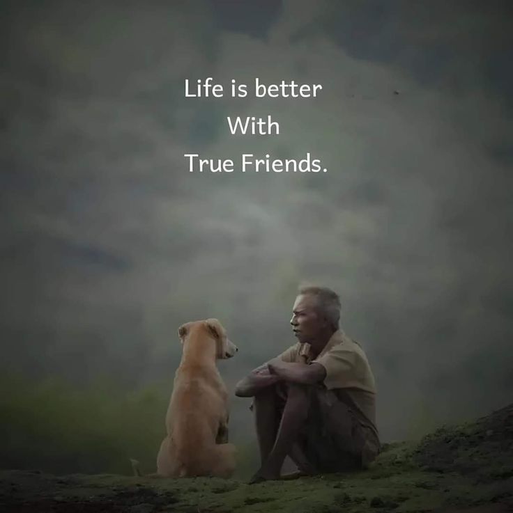 Life is better with true friends.