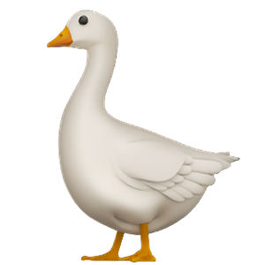 Nick Drummond tweet media