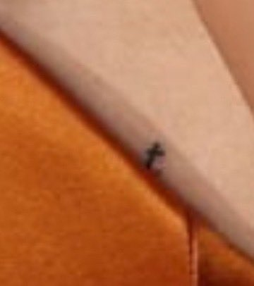 uhheyimpeter's tweet photo. people saying this is a t tattoo... damn i thought i was delusional in 2017 tomdaya era https://t.co/9gMlnEcmi9