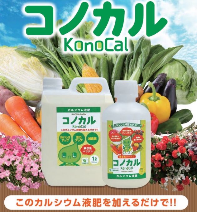 showafarm's tweet photo. 本日から仕事始めです！
今年も宜しくお願い致しますm(_ _)m  冬のほうれん草は生育が遅いですが、その分旨み甘みがあ���ます。まだ収穫まで5センチほど足らな��ので、お天気が続くと☀️いいなぁ😊　コノカルで元気に美味しく育ってます😊 https://t.co/CbrJpVtoCY