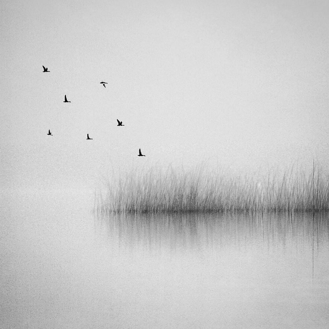 .
.

Silence by the lake 

by Renate Wasinger   ( 2augenblick )

.
.
