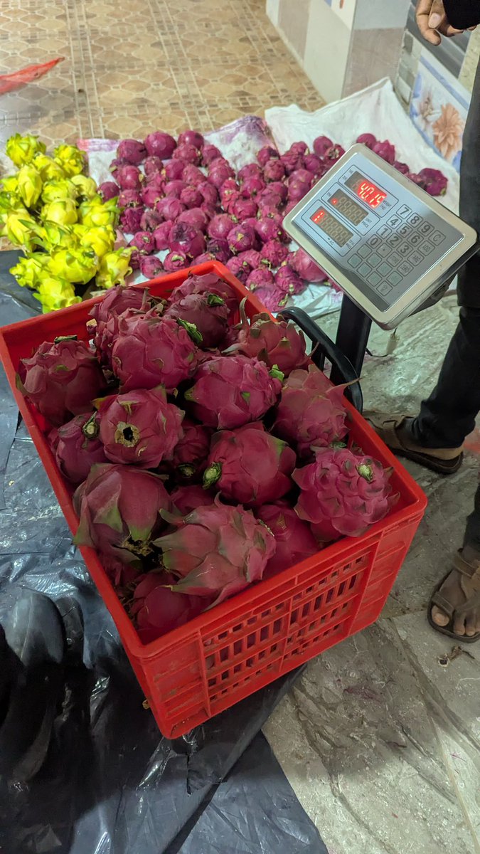 alexmwanzo's tweet photo. Anyways we have restocked dragonfruits 
250sh big ones 
200sh small ones 
White ones ziko kwa next batch hopefully 
For orders pls call 0716107054 https://t.co/AldEsLXjRa