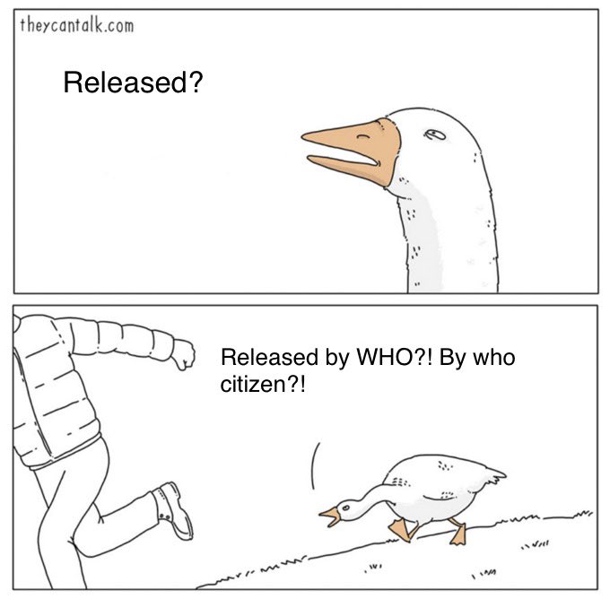 ilurvferb's tweet photo. https://t.co/g7ePUaDKK0