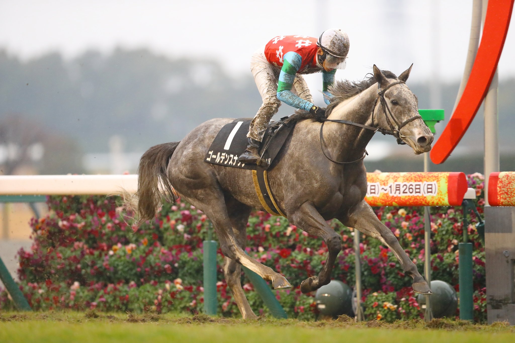 Yahoo!オークション -「新馬戦」(終了したレースの馬券) (競馬