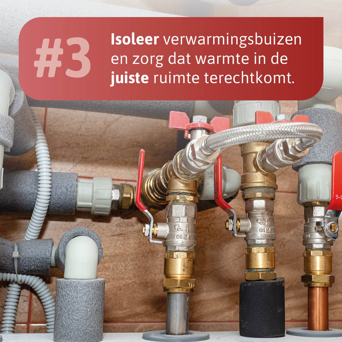 Brabant Woont Slim (@woontslim) on Twitter photo 